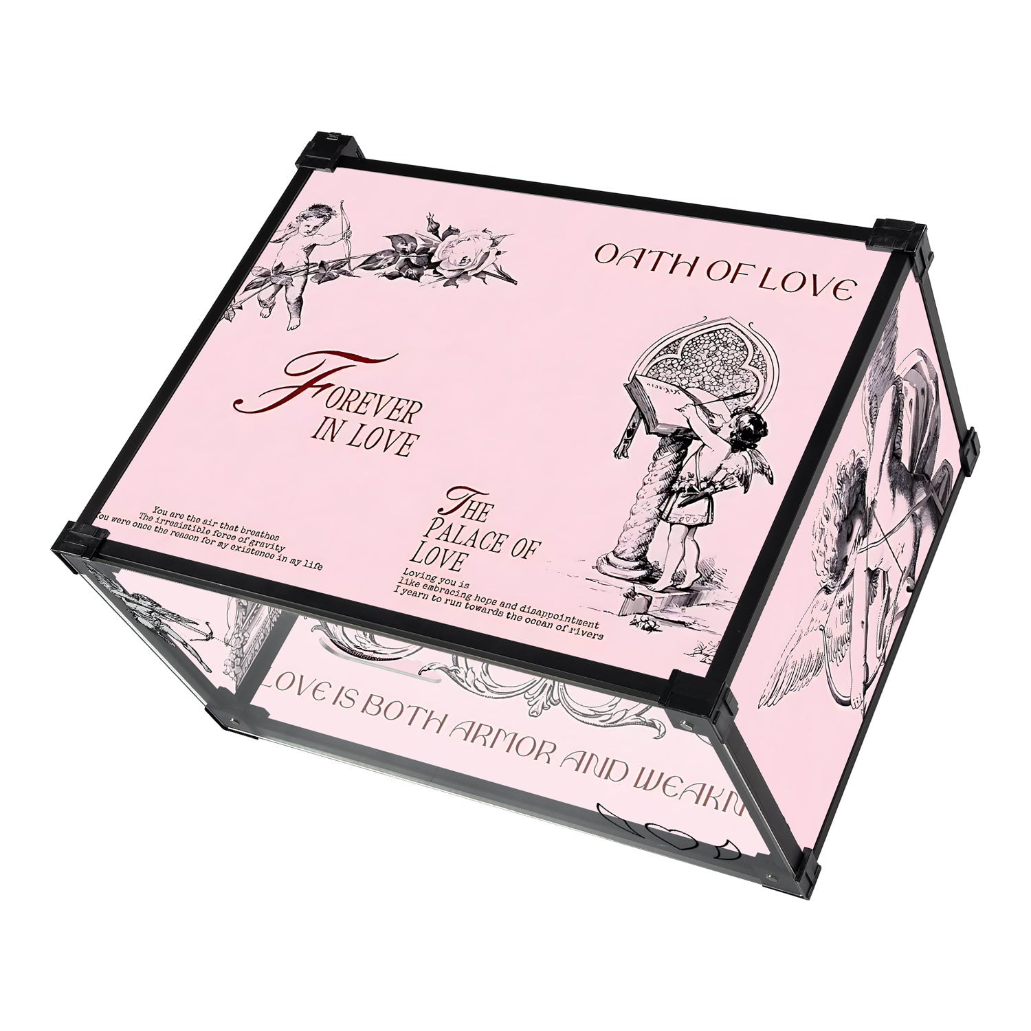 Cupid's Arrow-2025 Valentine's Day Series Custom Acrylic Shoe Display Box